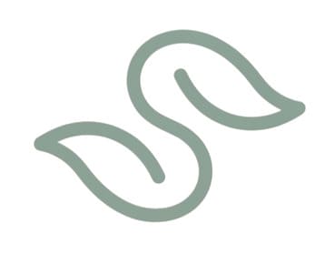 Logo Icon